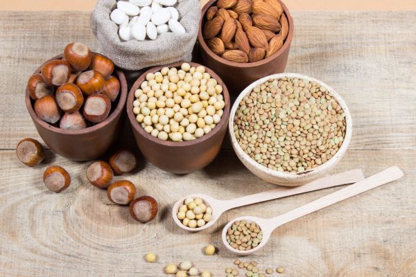 Dicas para Experimentar Novos Tipos de Proteínas Vegetais