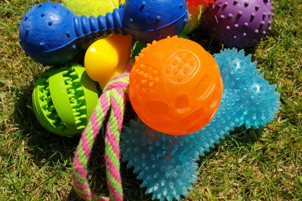 Como Escolher Brinquedos ideal para seu Cão ou Gato