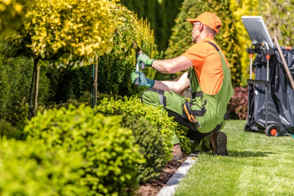 Ideias para Paisagismo Sustentável em Jardins e Quintais