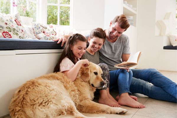 Dicas para Facilitar a Adaptação de um Novo Pet em Casa