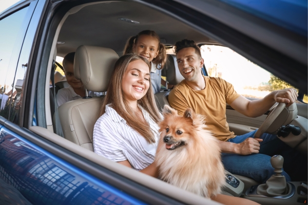 Viajando com Pets: Checklist Prático