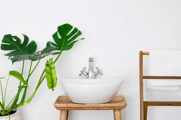 Plantinhas de Banheiro: Descubra as Melhores e Transforme seu Espaço em um Oásis Verdejante